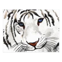 White Tiger Post Card
