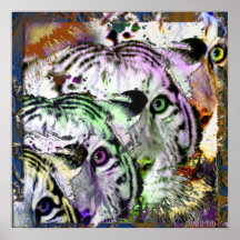 White Tiger Rainbow Coalition Posters