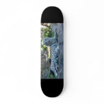 White Tiger Skate Boards
