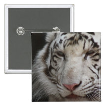 White Tiger Square Pin