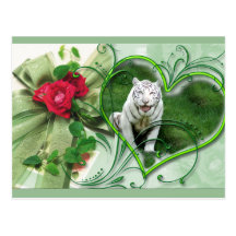 white-tiger-st-patricks-0035 post cards