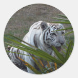 White Tiger Stickers
