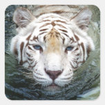 white tiger stickers