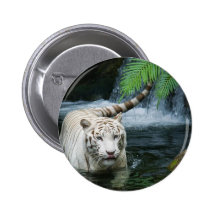 White Tiger Water Button