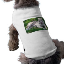 White Tiger with Blue Eyes Licking Nose Doggie T-shirt