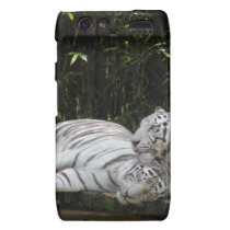 White Tigers Droid Razr Case casemate cases