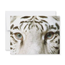 WHITE TIGER'S EYES INVITATION ~ EZ TO CUSTOMIZE!