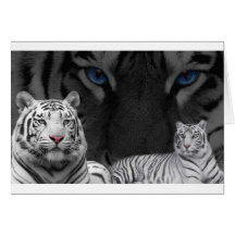 White Tigers Greeting Card