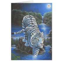 White Tirger Cards
