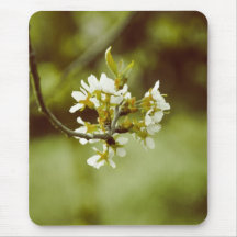 White tree flower mouse pads