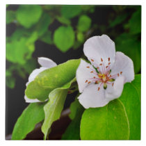 White tree flower tiles