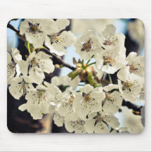 White tree flowers mouse pads