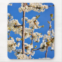 White tree flowers mousepads