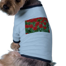 White Triumph tulips, 'Mexico' flowers Doggie Tee Shirt