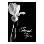 White Tulip Black Background Thank You Blank Cards cards