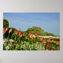 White Tulip flowered at Gorey flowers Print