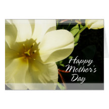 White Tulip Mother's Day Cards