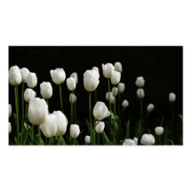 White tulips bookmark business card template