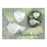 White Tulips Flower Trio Announcements
