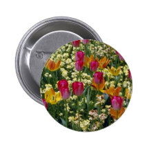 White Tulips in Millbrook Park flowers Pinback Buttons