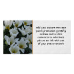White Tulips Picture Card