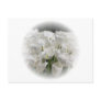 White Tulips Postcard