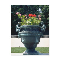 White Urn with fauns and begonias - Versailles, Fr Post Cards