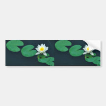 White water lily bumper sticker