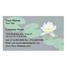 White water lily business cards