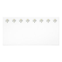 White Water Lily in Sunshine Photo Card Template