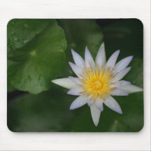 White Water Lily Mousepad