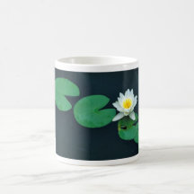 White water lily mugs