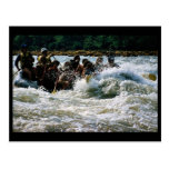 White Water Rafting Postcards