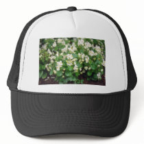 white Wax Begonia (Begonia) flowers Hat