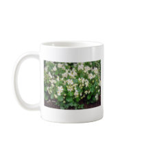white Wax Begonia (Begonia) flowers Coffee Mugs