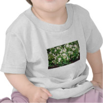 white Wax Begonia (Begonia) flowers T-shirts
