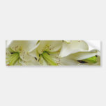 white White lilies flowers Bumper Sticker