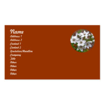 White Wildflower & Bee Fly Business Card
