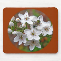 White Wildflower & Bee Fly Mousepads