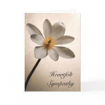 White Wildflower Sympathy Card