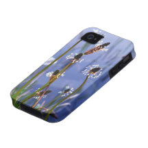 White wildflowers and water iPhone 4/4S cases