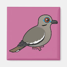 White-winged Dove Refrigerator Magnet