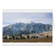 White Winters Greeting Cards