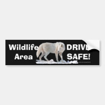 White Wolf Arctic Wolf Driver Safety Bumpersticker Bumper Stickers