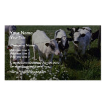 white Young Dairy Cattle flowers Business Card Templates