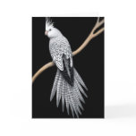 Whitefaced Pearl Pied Cockatiel Card