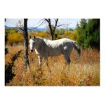 WhiteHorse business cards
