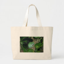 White's Tree Frog, Dumpy Frog Bag