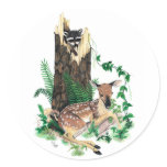 Whitetail Deer Fawn and Raccoon Sticker