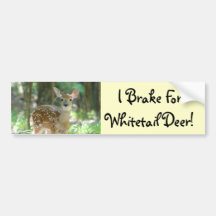 Whitetail Deer Fawn Bumper Sticker